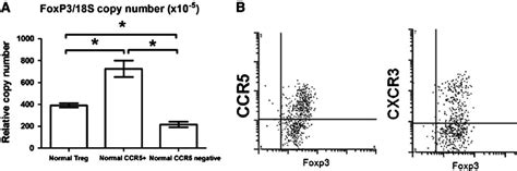 Ccr5 Positive Treg Cells Express Higher Levels Of Mrna And Protein