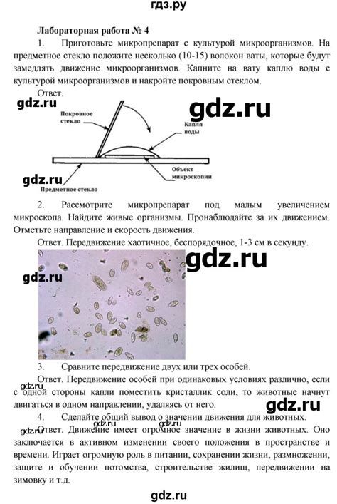 ГДЗ лабораторная работа 4 биология 5 класс Пономарева, Николаев