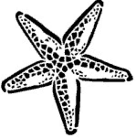 Black And White Starfish Clipart Clip Art Library