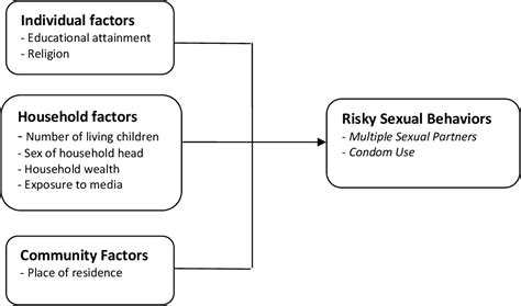 Figure 21 From Determinants Of Risky Sexual Behaviour Among The Youths