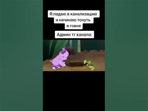 сейчас вылетит птичка #мемы #memes #мем - YouTube