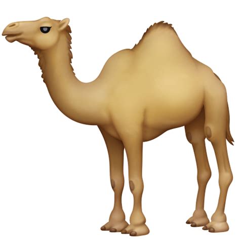 Camel Emoji 🐪