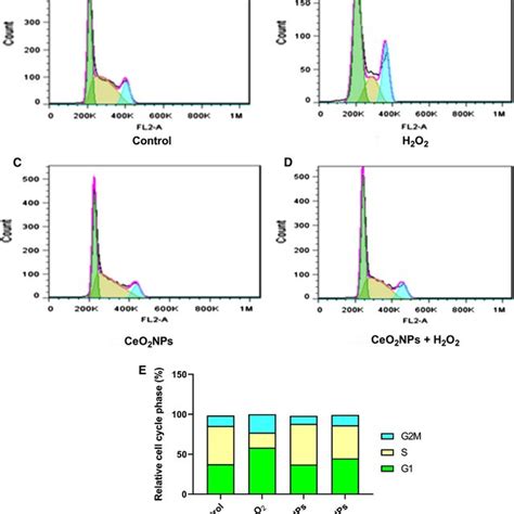 Cell Cycle Analysis Effect Of A Control B H2o2 C Ceo2 Nps And D