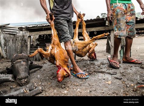 Goat Meat Processing In Gudu Abuja Nigeria Stock Photo Alamy