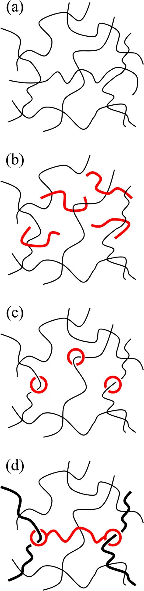 Schematic Illustration Of Entangled Polymer Chains For A L430 B