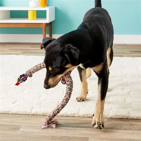 Mammoth SnakeBiter Snake Rope Dog Toy, Color Varies, Small - Chewy.com