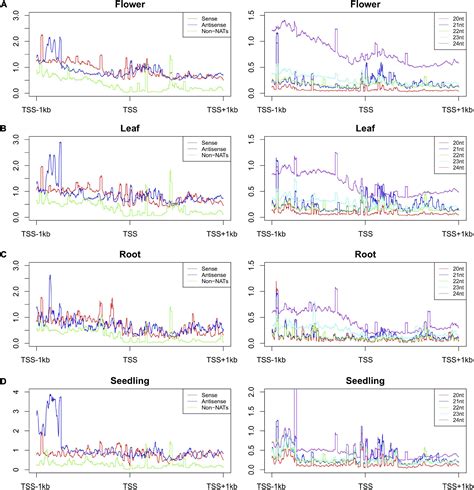 Frontiers Tissue Specific Transcriptomic Analysis Uncovers Potential