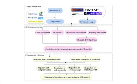 A Schematic Diagram Showing The Systems Pharmacology Approach For Download Scientific Diagram