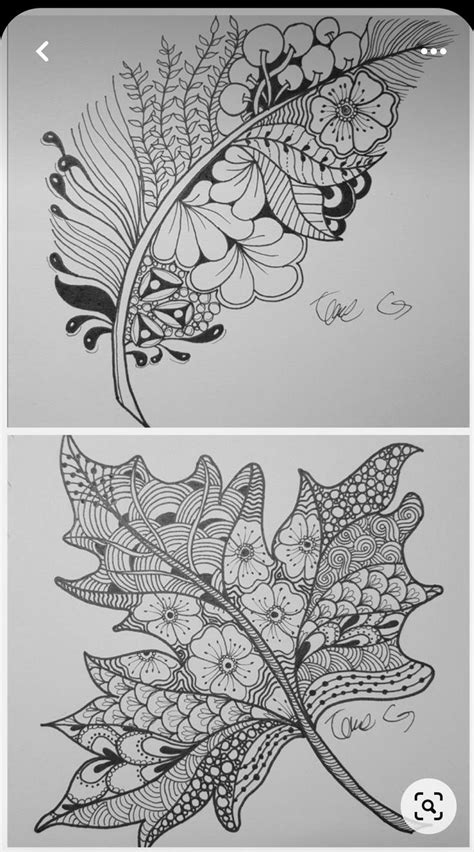 Two Different Images Of Leaves And Flowers In Black And White Each