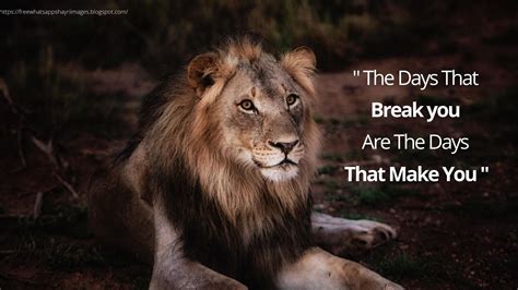 25 Motivational Lion Pictures Quotes Brave Lion Quotes