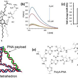 Supramolecular Carriers A Structure Of The Arginine Based