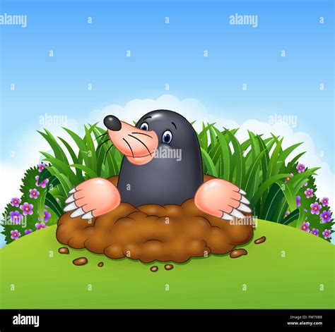 Cartoon Funny Mole Stock Vector Image And Art Alamy