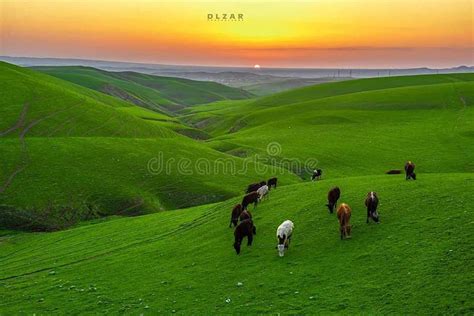 Erbil Iraqi Countryside In Spring Season Located In Kurdistan Region