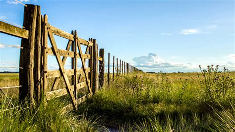 LA TIERRA SIGUE SIENDO UNA INVERSIÓN TRADICIONAL Y SÓLIDA Más Campo