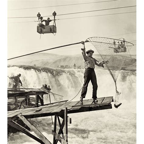 Fishing with a Dip-net at Celilo Falls - 1942