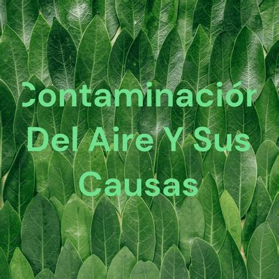 Contaminación Del Aire Y Sus Causas