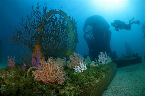 Arte no fundo do mar as imagens da primeira exposição subaquática em