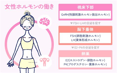 女性ホルモンが少ないと？症状や原因、増やす方法について【公式】新宿駅前婦人科クリニック