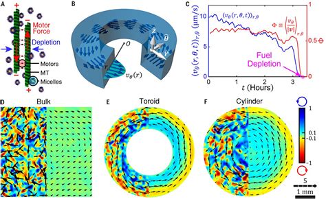 Transition From Turbulent To Coherent Flows In Confined Three