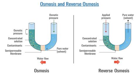 How Reverse Osmosis Works Mindsetpump