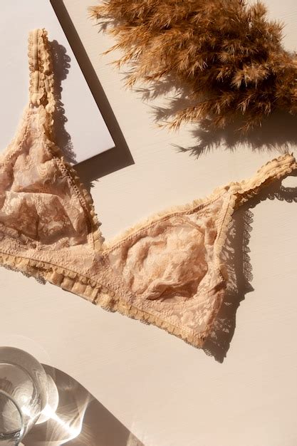Lingerie Feminina De Qualidade Natureza Morta Foto Gr Tis