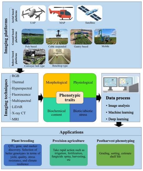 Plants Free Full Text Image Based High Throughput Phenotyping In