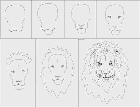 Draw A Lion Art Class Ideas Lion Face Drawing Lion Art Lion