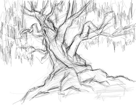 Pin by Robin Yeaton on Sketches | Tree drawing, Tree sketches, Tree ...