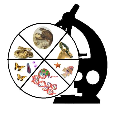 Zoology Clipart Clipground