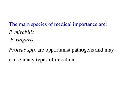 Proteus Spp 2