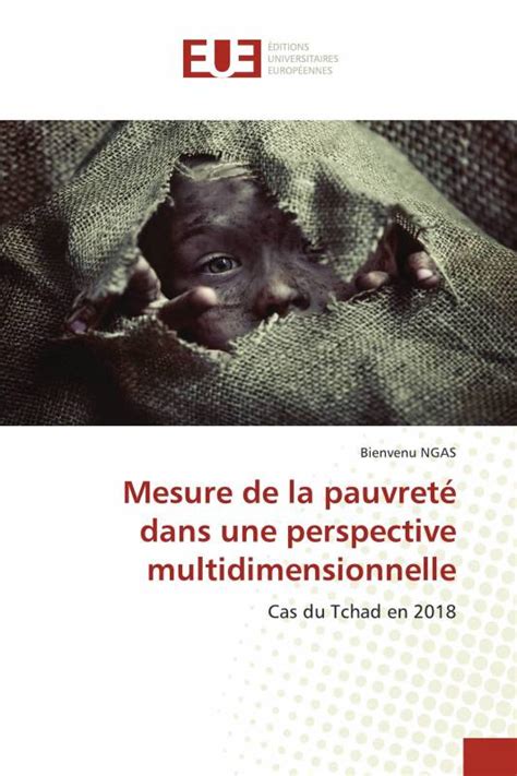 Mesure De La Pauvret Dans Une Perspective Multidimensionnelle