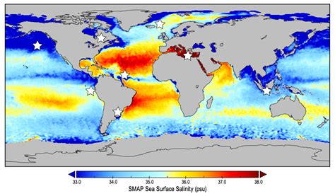 Salinity And Ocean Life