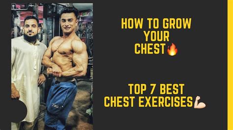 How To Grow Your Chest🔥 Best 7 Exercises For Chest💪🏻alex Safi Youtube