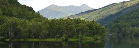 Why should the Scottish woodlands be protected?