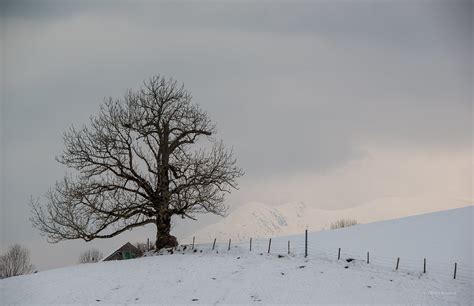 Le B Nou Sous La Neige Olivier Rouanet Flickr