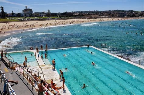 The Less-Than-Effective Shark Nets Protecting Australia's Beaches