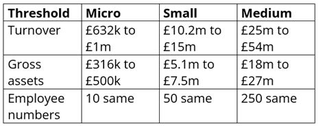 The New Audit Thresholds For October 2024 — Wr Partners