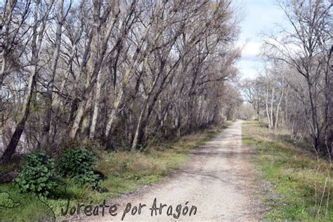 Camino Natural Del Ebro Por La Ribera Alta Jor Ate Por Arag N