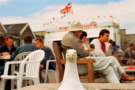 Martin Parr Martin Parr Fotografia Fotografia Artistica