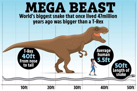 Worlds Biggest Snake Even Larger Than T Rex That Lurked In Swamps