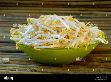 Mung Beanstree Sprouts In Shell Vigna Mungo Phaseolus Mungo Mung