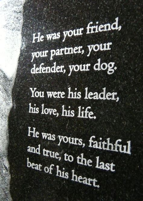 Pet Memorial Quotes. QuotesGram