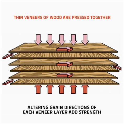 All The Things You Must Know About Plywood TD Global