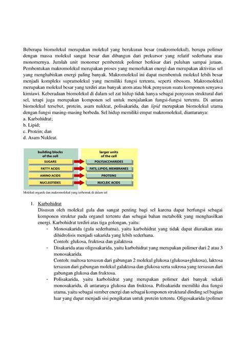 1 Struktur Dan Fungsi Makromolekul Pembentuk Komponen Sel Beberapa