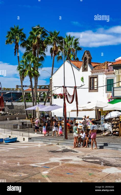 Scenic view of the small fishing village of Câmara de Lobos in Madeira