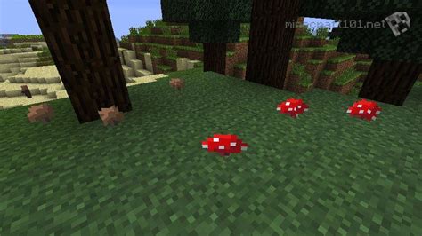 Cómo cultivar hongos en Minecraft