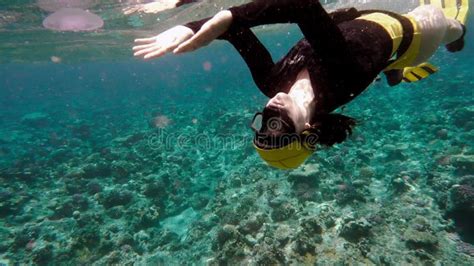 Pretty Free Diver Exploring Coral Reefs Freediving Is A Sport When A