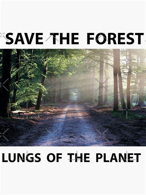 Save The Forest Sticker By Sharkindustries Redbubble