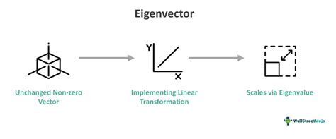 Eigenvector - What Is It, Examples, How To Find, Finance Example