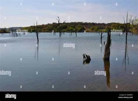 Lake Buchanan, Texas, USA Stock Photo - Alamy